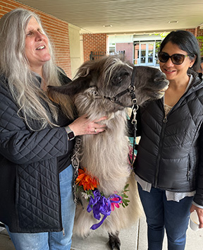 Amandeep and Kris smile and pet a llama